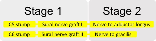 Figure 4.jpg